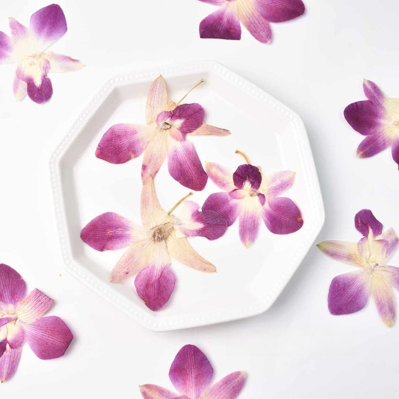 Photo Frame Baby - 4 szt., Prawdziwe, prasowane kwiaty orchidei