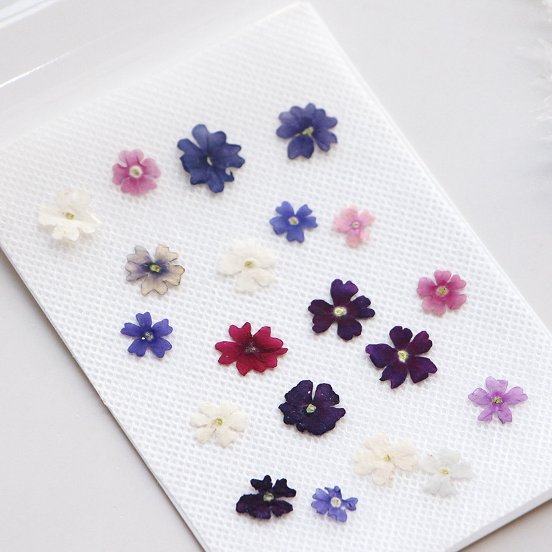 40 sztuk/partia, Mini Beauty C – Photo Frame Baby recenzja i cena