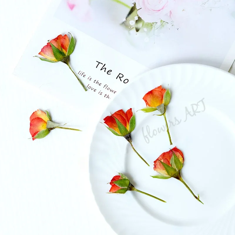 Suszone płatki róż, suszone kw – Photo Frame Baby recenzja i cena