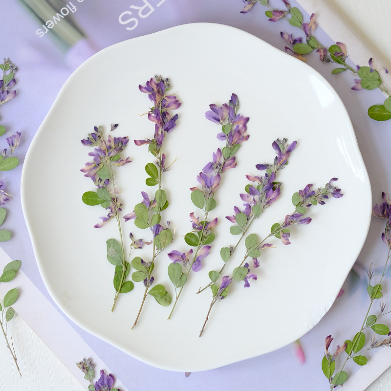 6 sztuk, naturalne suszone i p – Photo Frame Baby recenzja i cena