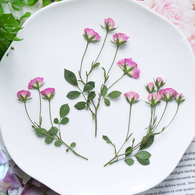 12 sztuk, Mini Różowe Suszone  – Photo Frame Baby recenzja i cena